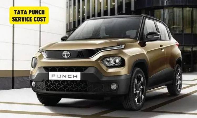 Tata Punch Service Cost